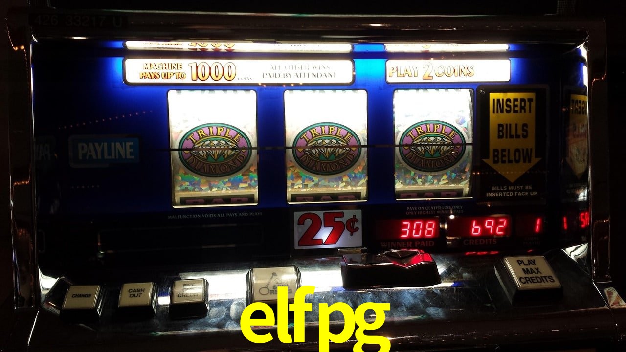 Experiência VIP elfpg
